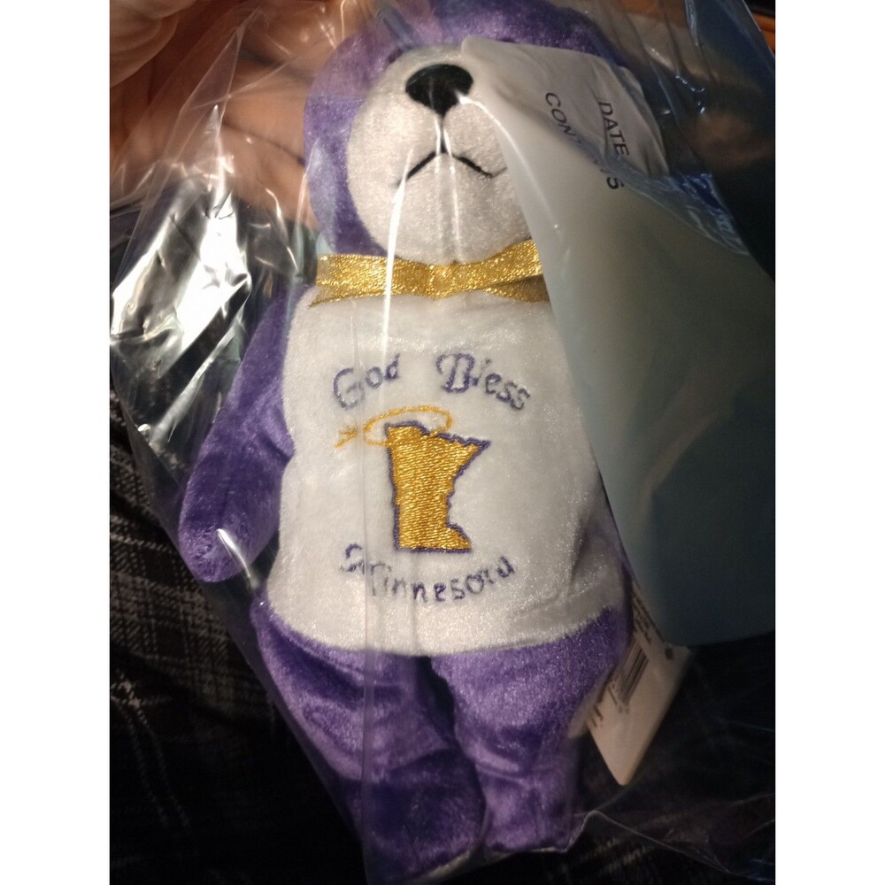 Holy Bears God Bless Minnesota Collectable Bear
